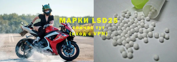 мяу мяу мука Абаза